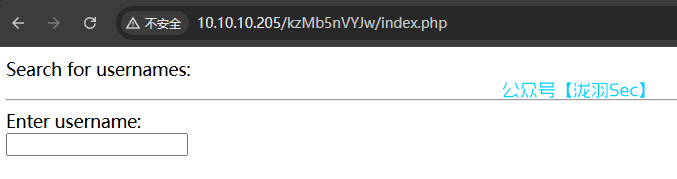 image-20250213132302214