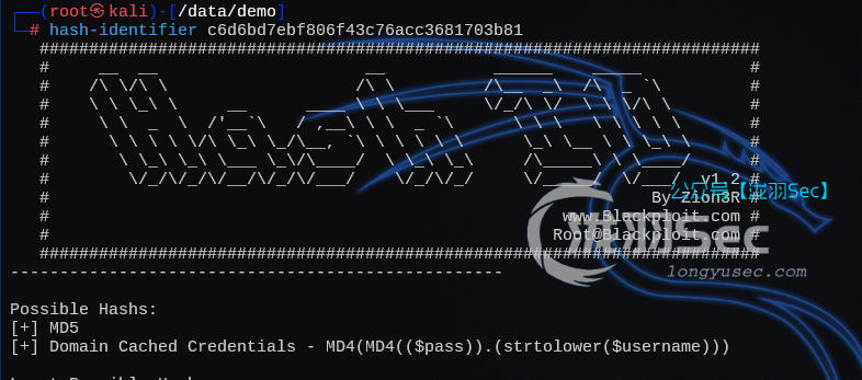 image-20250213155019036