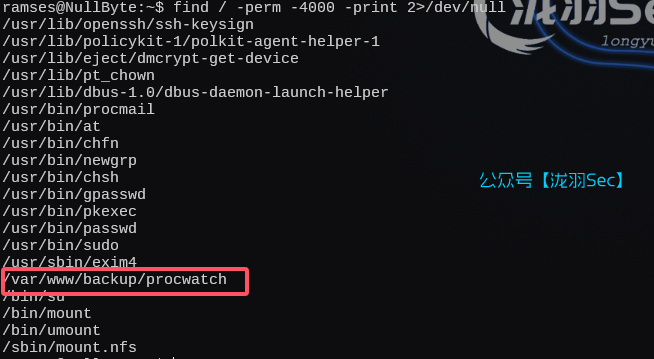 image-20250213162549082