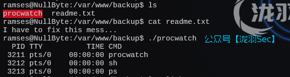 image-20250213162652173