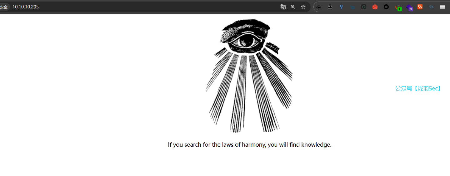 image-20250213175813172