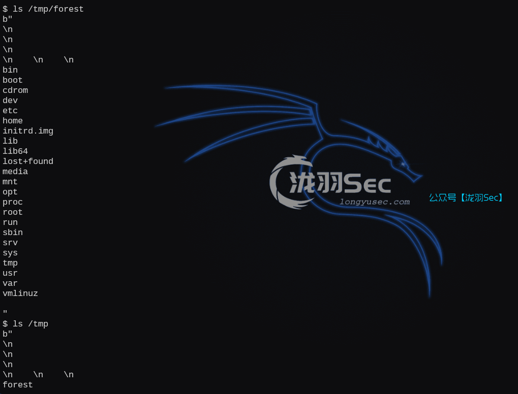 image-20250214225013036