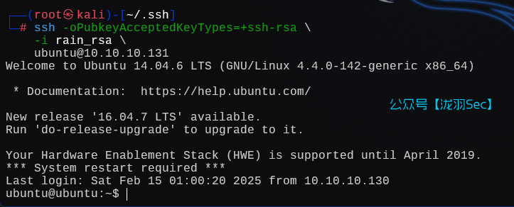 image-20250215170323988