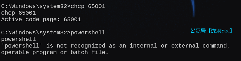 image-20250216043220550