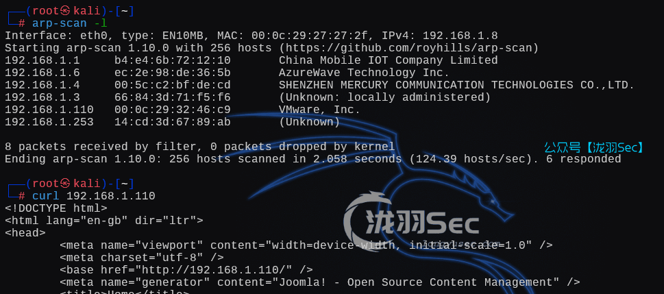 image-20250221063211703