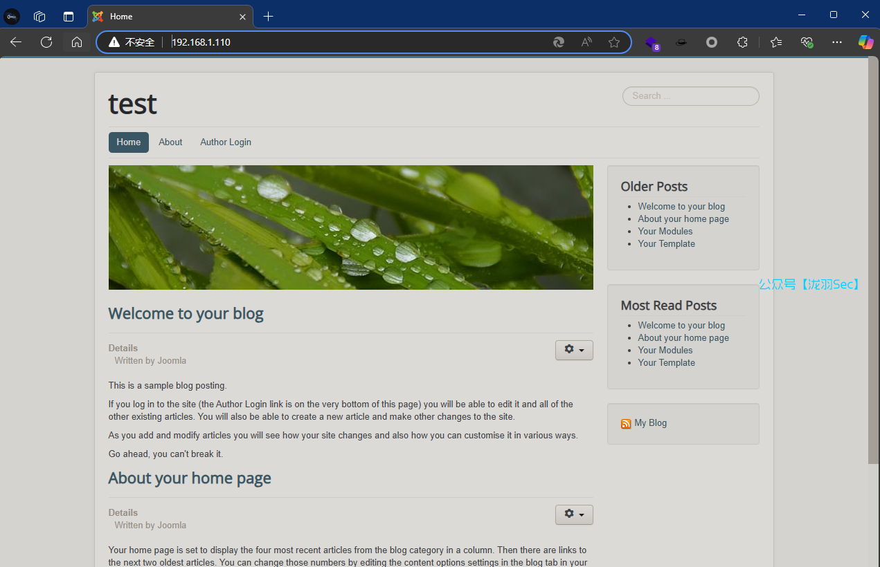 image-20250221063935180