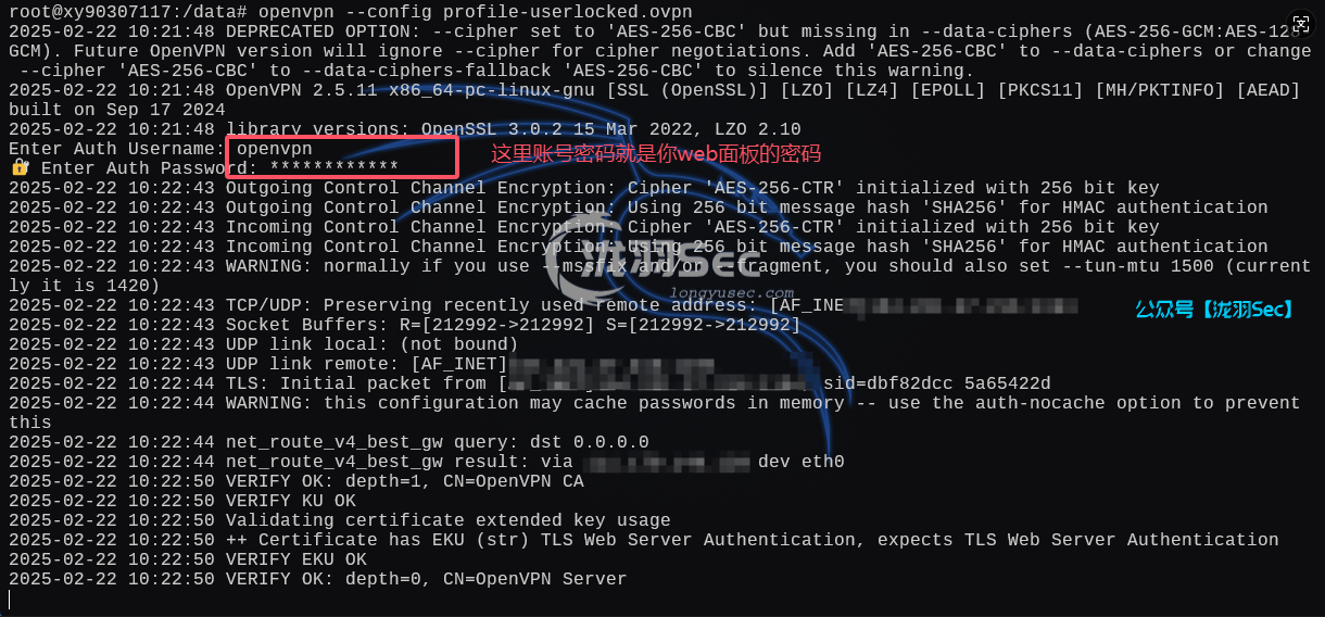 image-20250222194203699