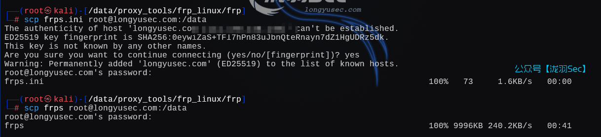 image-20250222195659180