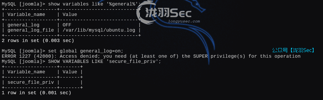 image-20250225192408965