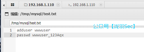 image-20250227035007410