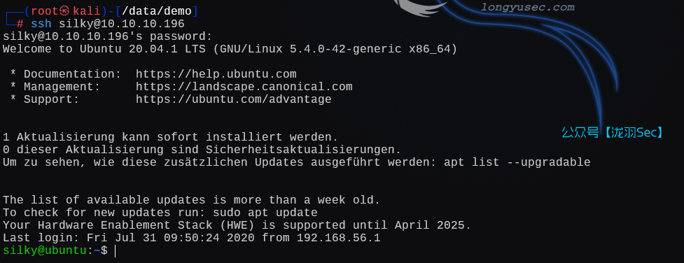 image-20250204183937250