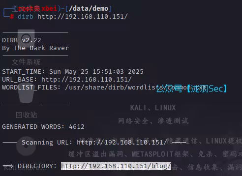 image-20250525155205328