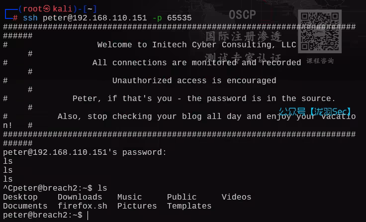 image-20250603233145538