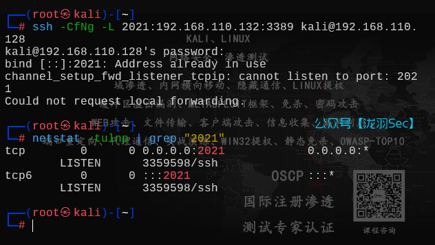 image-20250611174145405