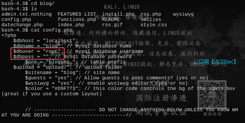 image-20250612182709330