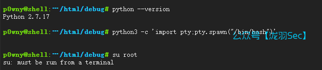 image-20250617190835117