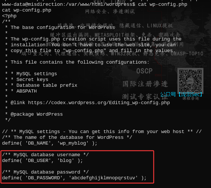 image-20250618175156298