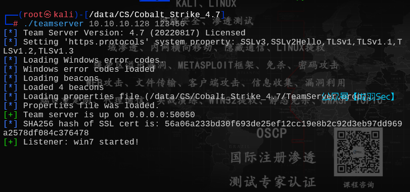 image-20250624203613374