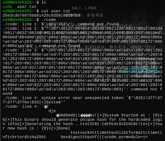 image-20250704161458740