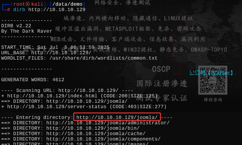 image-20250705125417663