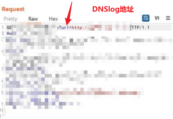 图片[3]-无回显SSRF挖掘技巧与实战指南-极光攻防实验室