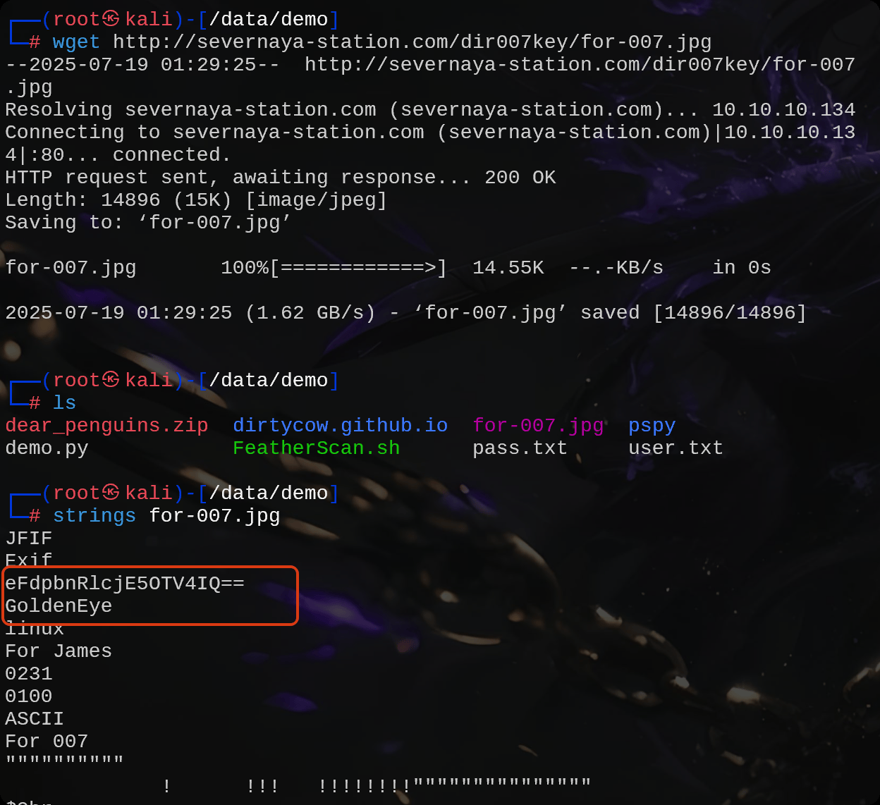 image-20250719133046420