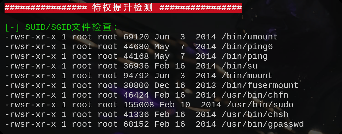 image-20250719172413007