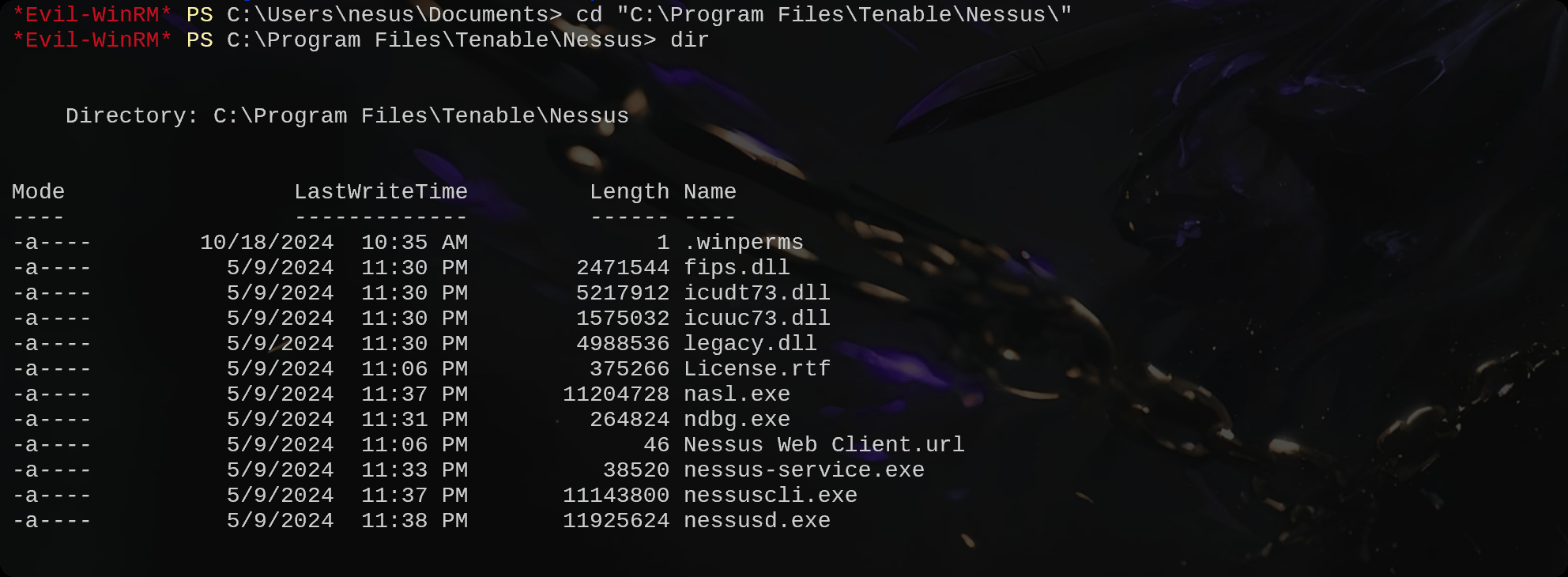 图片[30]-HackMyVm-Nessus ：简单-泷羽Sec