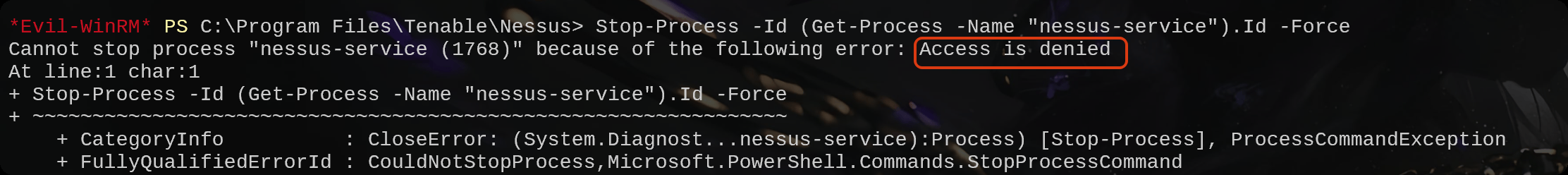 图片[32]-HackMyVm-Nessus ：简单-泷羽Sec