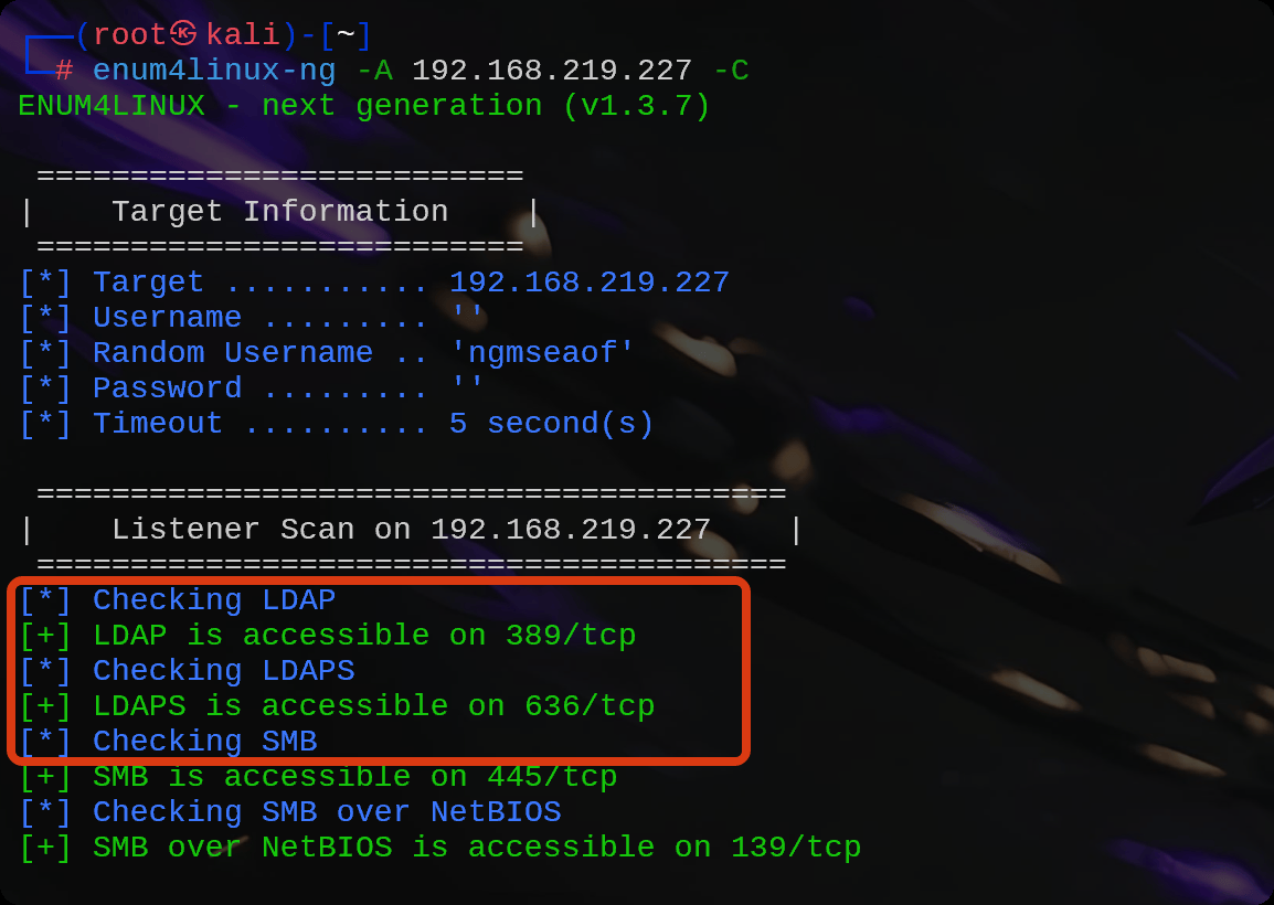 image-20251024134307640