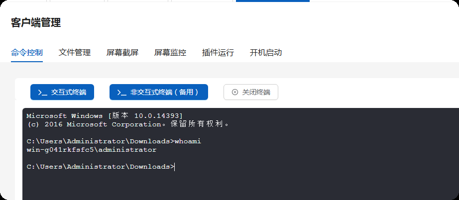 图片[20]-【红队工具】VShell v4.9.3 高级版，国产C2工具下载及使用-泷羽Sec