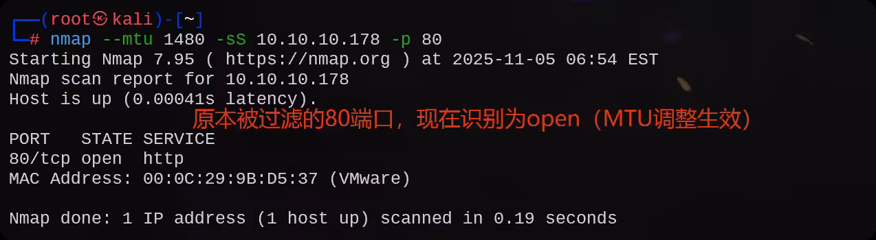 image-20251105195606811